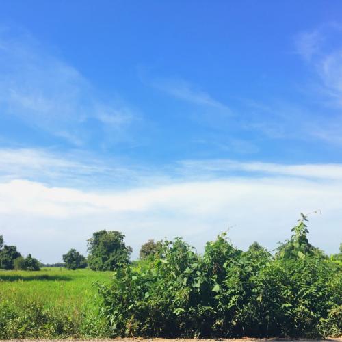 สมาชิกหมายเลข 4152290