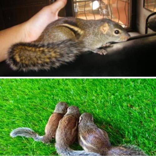 สมาชิกหมายเลข 2348632