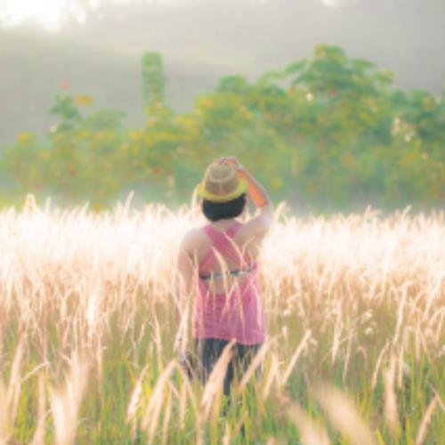 สมาชิกหมายเลข 5307540