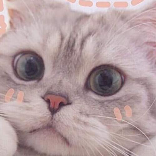 สมาชิกหมายเลข 5307585