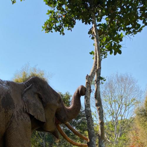 สมาชิกหมายเลข 4029740