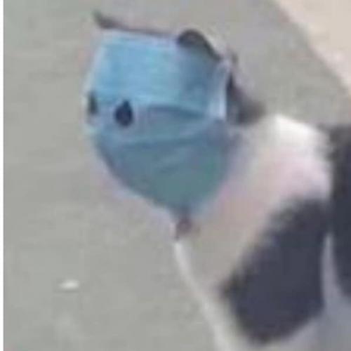 สมาชิกหมายเลข 4356117