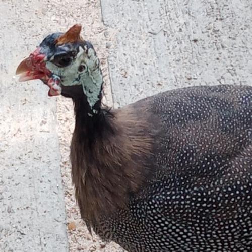 สมาชิกหมายเลข 7694937