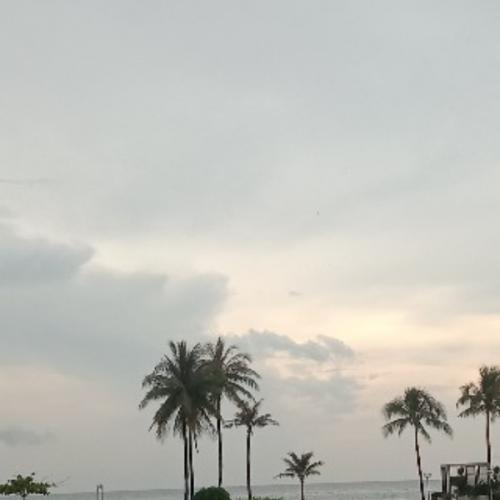 สมาชิกหมายเลข 8791266