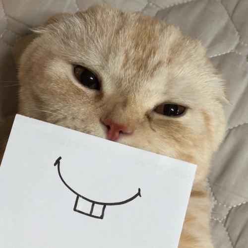 สมาชิกหมายเลข 4086602