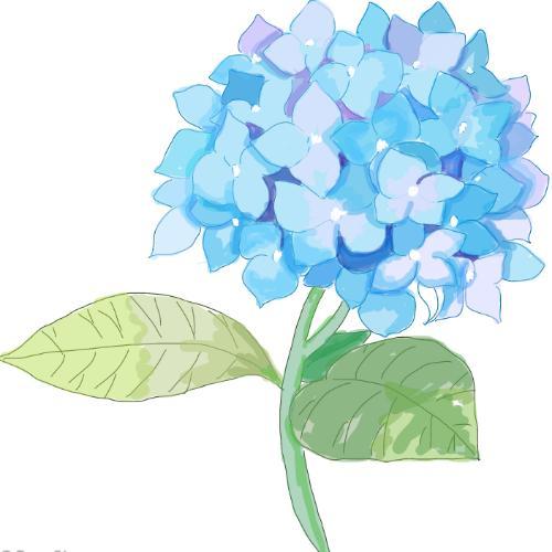 สมาชิกหมายเลข 4565503