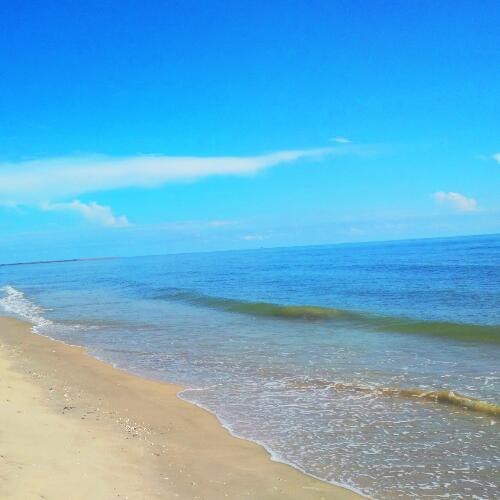 สมาชิกหมายเลข 4909680