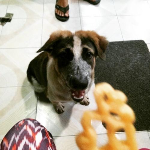 สมาชิกหมายเลข 5308327