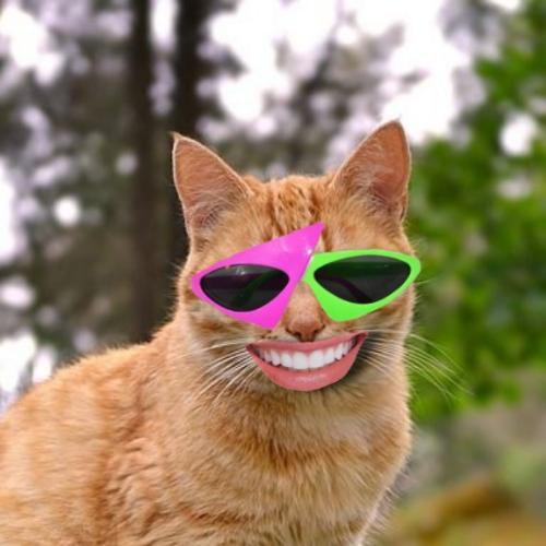 สมาชิกหมายเลข 6360867