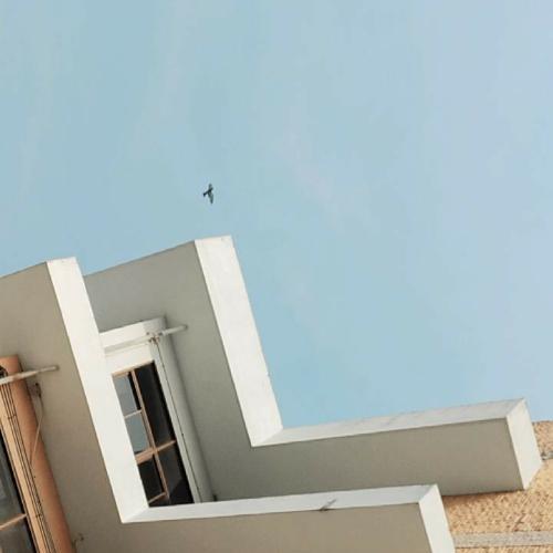 สมาชิกหมายเลข 6360927