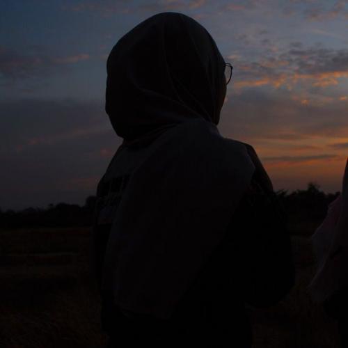 สมาชิกหมายเลข 3133116