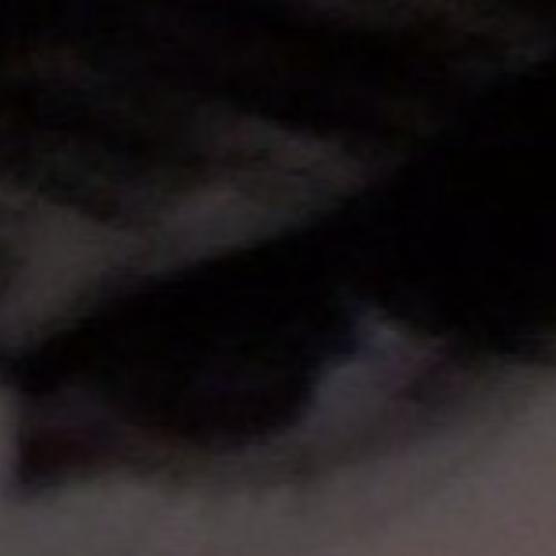 สมาชิกหมายเลข 4924472