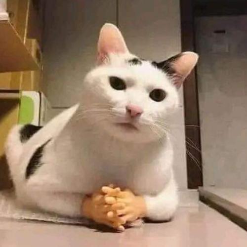 สมาชิกหมายเลข 6219358