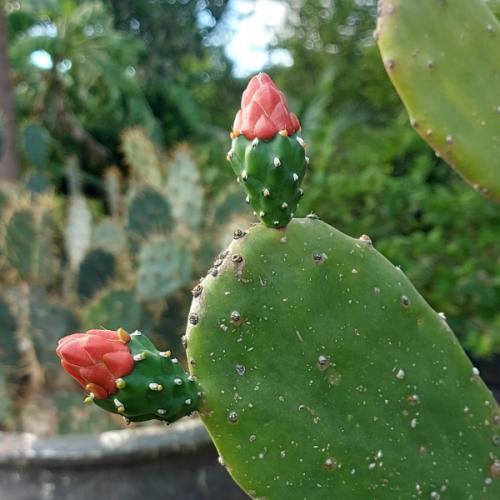 สมาชิกหมายเลข 7815176