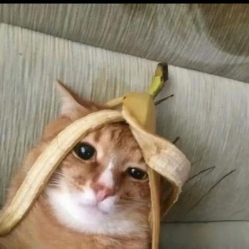 สมาชิกหมายเลข 7816120