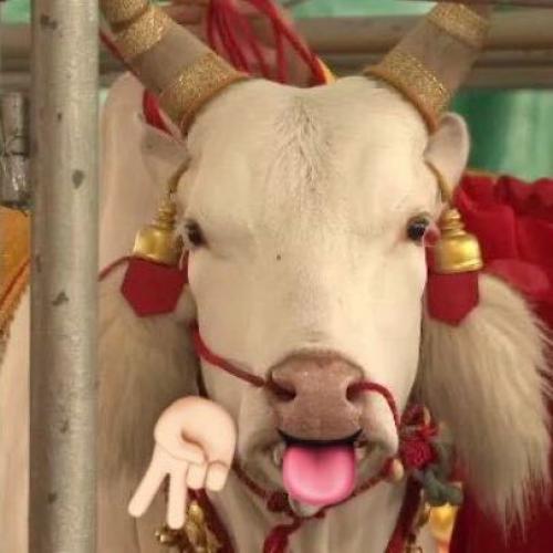 สมาชิกหมายเลข 6787082