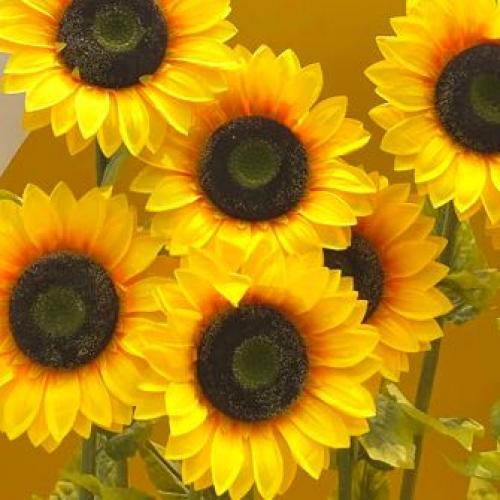 เหรอ หรือ หรอ