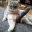 สมาชิกหมายเลข 2682763