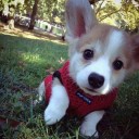 สมาชิกหมายเลข 3679493