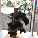 สมาชิกหมายเลข 3649246