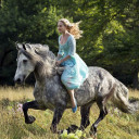 สมาชิกหมายเลข 4568610