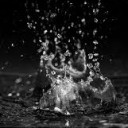 สมาชิกหมายเลข 1468320