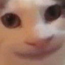 สมาชิกหมายเลข 4370470