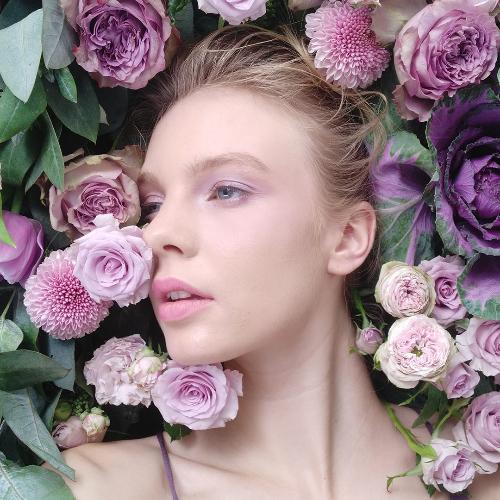 สมาชิกหมายเลข 4909555