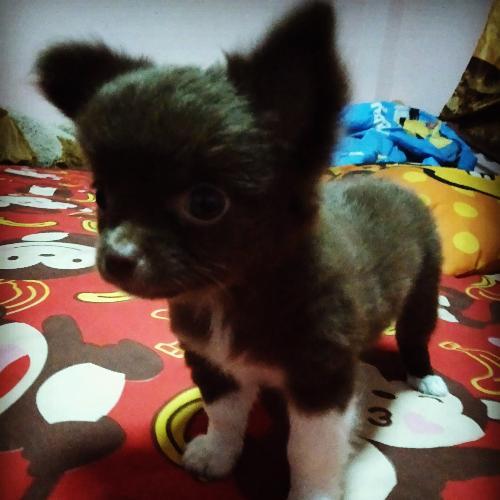 สมาชิกหมายเลข 4909776