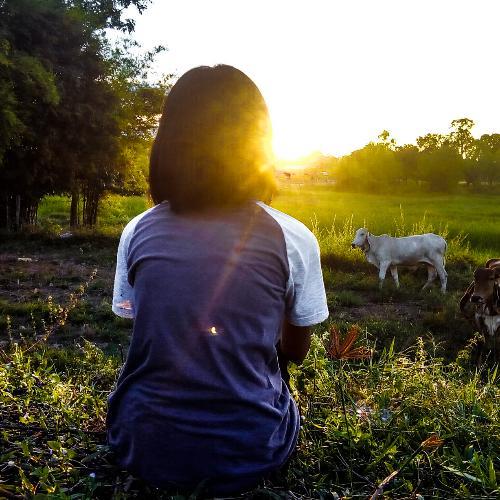 สมาชิกหมายเลข 4909916