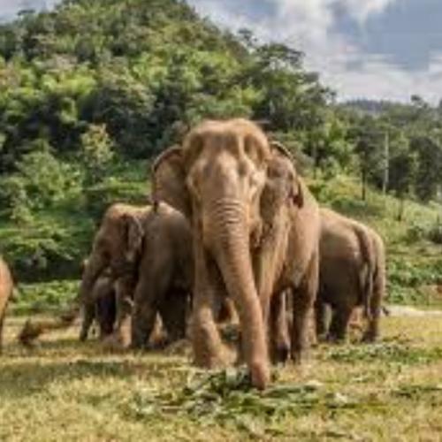 สมาชิกหมายเลข 5766237