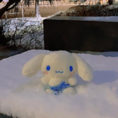 สมาชิกหมายเลข 1332786