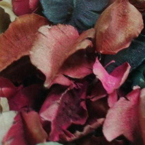 สมาชิกหมายเลข 4279000