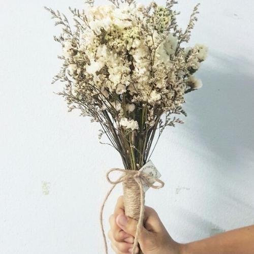 สมาชิกหมายเลข 5298299