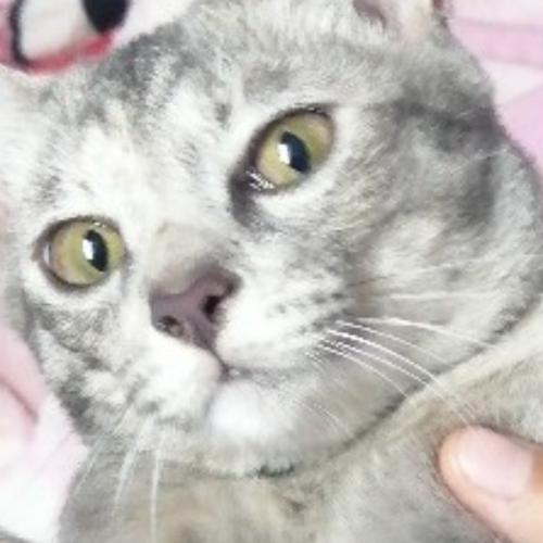 สมาชิกหมายเลข 6361540