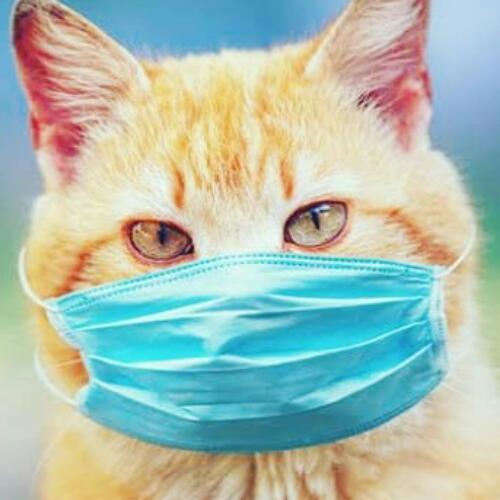 สมาชิกหมายเลข 6362011