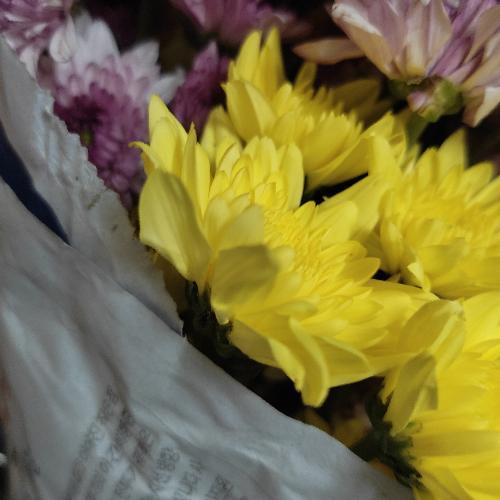 สมาชิกหมายเลข 6747095