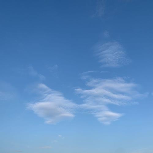 สมาชิกหมายเลข 837031