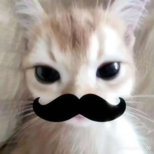 สมาชิกหมายเลข 6823395