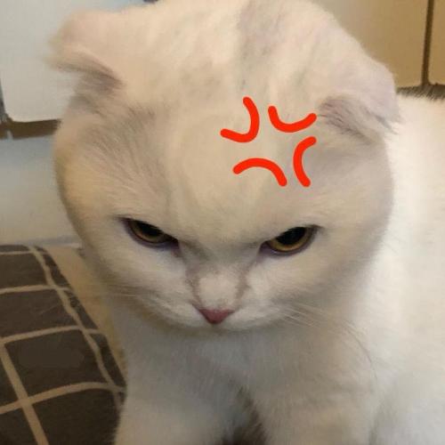 สมาชิกหมายเลข 8265690