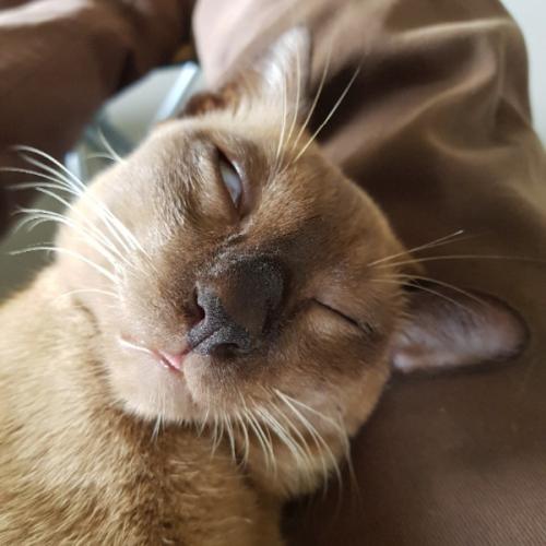 สมาชิกหมายเลข 3864701