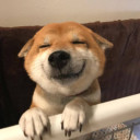 สมาชิกหมายเลข 4230376