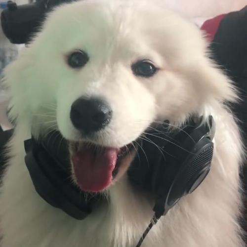 สมาชิกหมายเลข 4612235