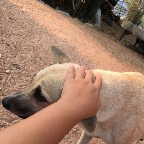 สมาชิกหมายเลข 5308922