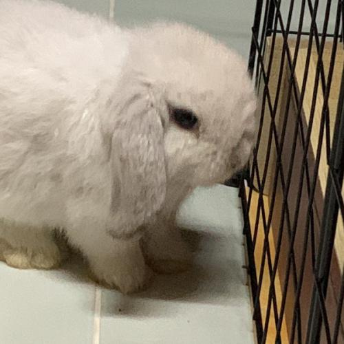 สมาชิกหมายเลข 7047244