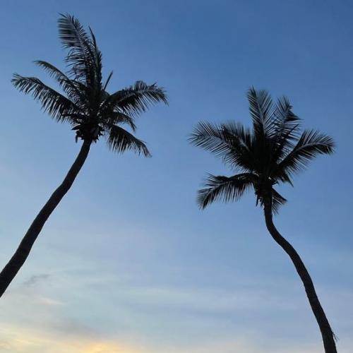 สมาชิกหมายเลข 5022932