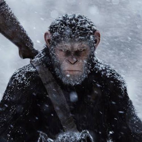 สมาชิกหมายเลข 4926738