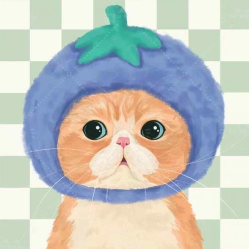 สมาชิกหมายเลข 8793451