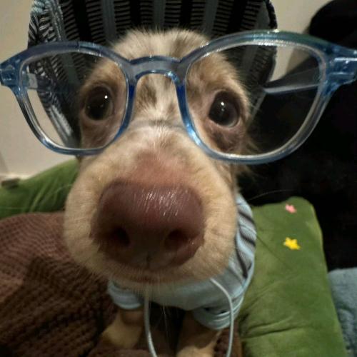 สมาชิกหมายเลข 8793727