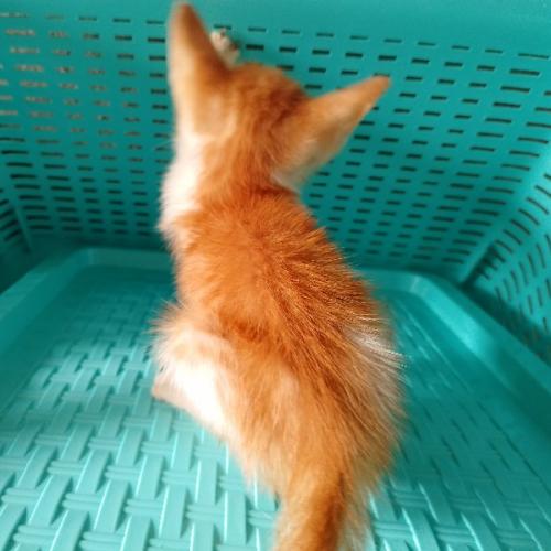 สมาชิกหมายเลข 8793895